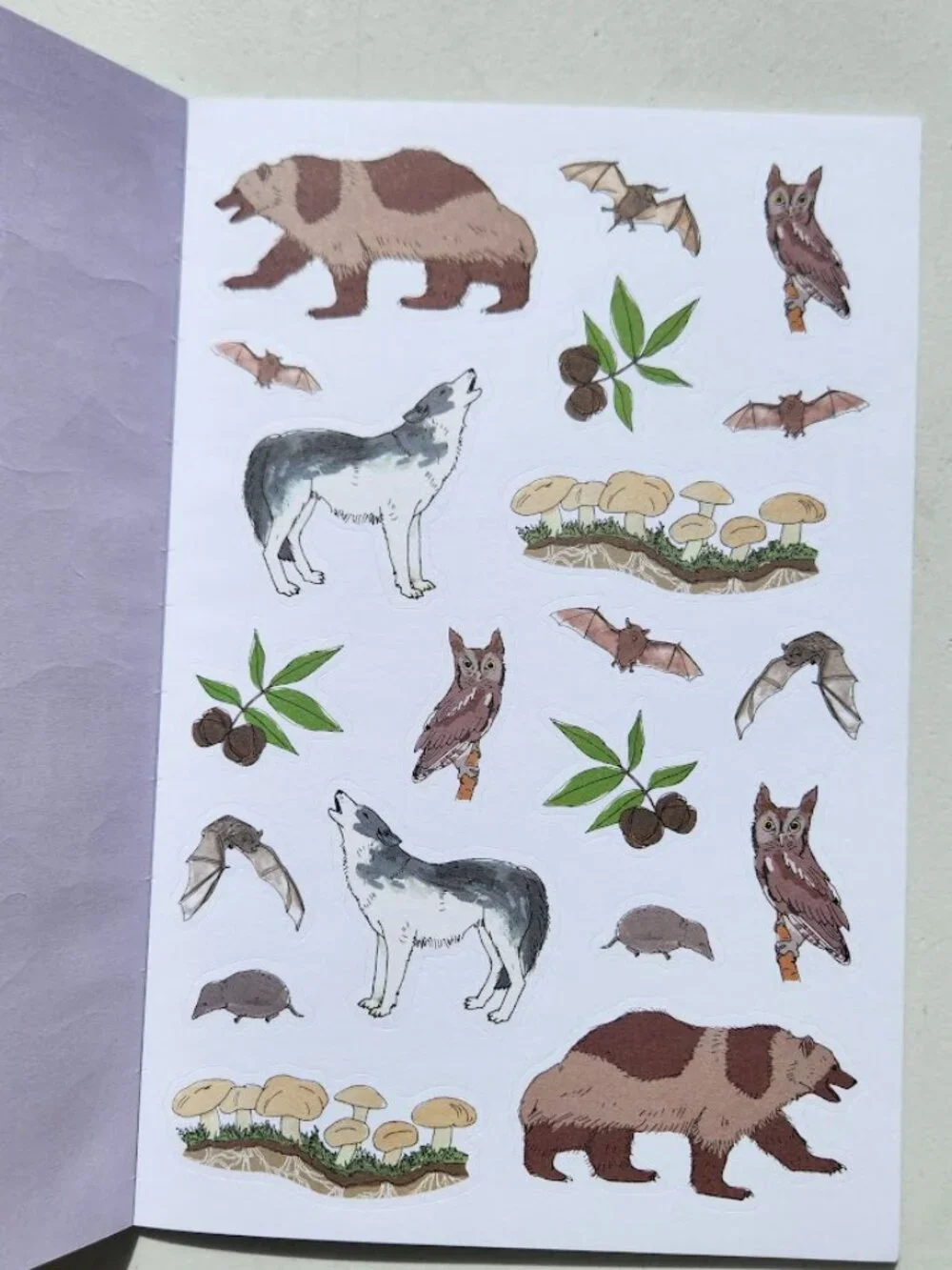 Nature Anatomy Sticker Book Julia Rothman 750 Stickers birds, feathers, wildflow
